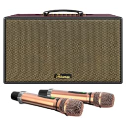 Loa karaoke xách tay PARAMAX Karat 200W - Giá rẻ nhất hôm nay - Ảnh 12