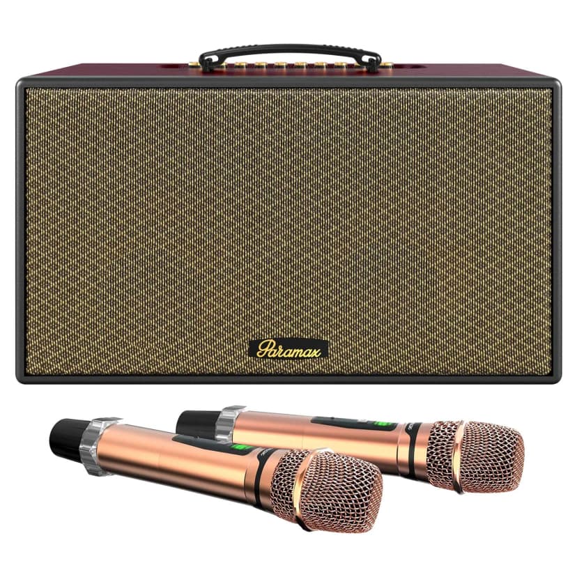Loa karaoke xách tay PARAMAX Karat 200W - Giá rẻ nhất hôm nay - Ảnh 12