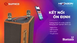 Loa karaoke xách tay Sumico Hexagon 150W - Giá rẻ nhất hôm nay - Ảnh 12