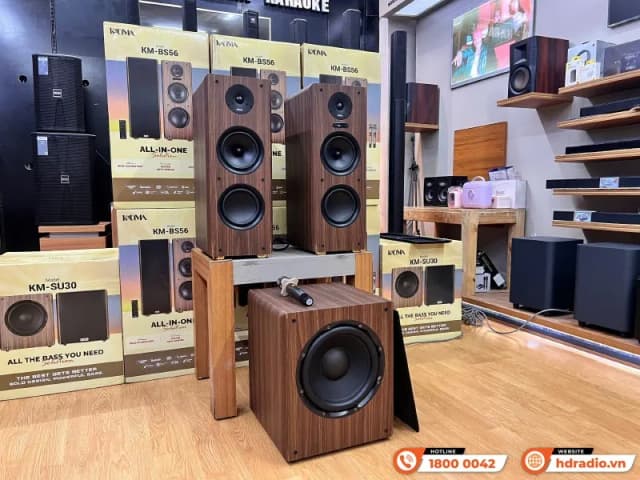 So sánh giá Loa siêu trầm KADMA KM-SU30 rẻ nhất? - Ảnh 11