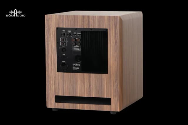 So sánh giá Loa siêu trầm KADMA KM-SU30 rẻ nhất? - Ảnh 16