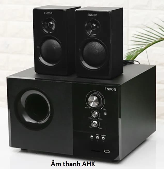 Loa vi tính Bluetooth Enkor S2880 Đen - Giá rẻ nhất hôm nay - Ảnh 6