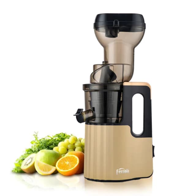 Máy ép chậm Ferroli FSJ-200M - Ảnh 16