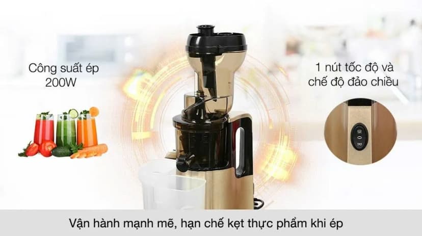 Máy ép chậm Ferroli FSJ-200M - Giá rẻ nhất hôm nay - Ảnh 11