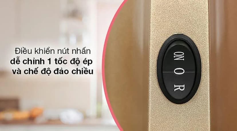 Máy ép chậm Ferroli FSJ-200M - Giá rẻ nhất hôm nay - Ảnh 12