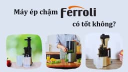 Máy ép chậm Ferroli FSJ-200M - Giá rẻ nhất hôm nay - Ảnh 20