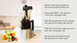 Máy ép chậm Ferroli FSJ-200M - Giá rẻ nhất hôm nay - Ảnh 3