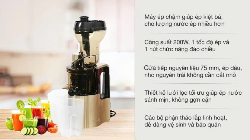 Máy ép chậm Ferroli FSJ-200M - Giá rẻ nhất hôm nay - Ảnh 3
