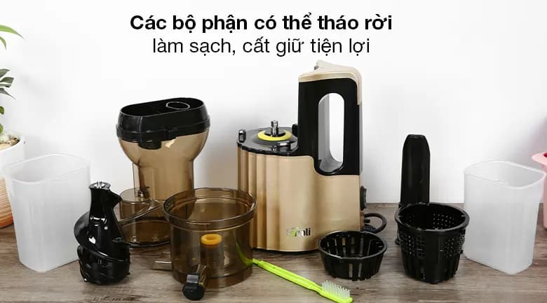 Máy ép chậm Ferroli FSJ-200M - Giá rẻ nhất hôm nay - Ảnh 4