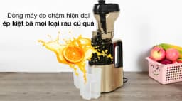 Máy ép chậm Ferroli FSJ-200M - Giá rẻ nhất hôm nay - Ảnh 6