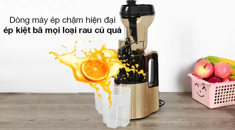 Máy ép chậm Ferroli FSJ-200M - Giá rẻ nhất hôm nay - Ảnh 6