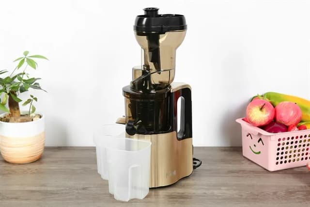 So sánh giá Máy ép chậm Ferroli FSJ-200M rẻ nhất? - Ảnh 7