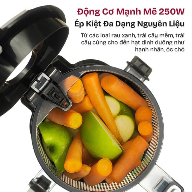 So sánh giá Máy ép chậm FUJIHOME SJ16 rẻ nhất? - Ảnh 11