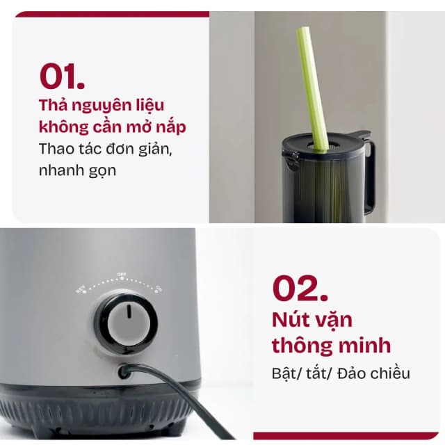 So sánh giá Máy ép chậm FUJIHOME SJ16 rẻ nhất? - Ảnh 14
