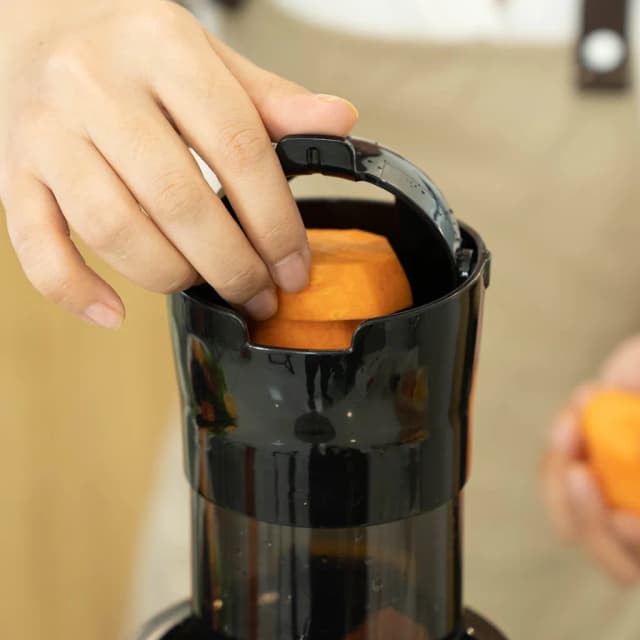 So sánh giá Máy ép chậm Hawonkoo SJH-002-GR rẻ nhất? - Ảnh 15