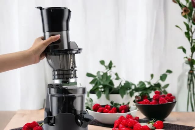 Top 1 so sánh giá Máy ép chậm Hawonkoo SJH-004 - Tìm sản phẩm giá rẻ nhất - Ảnh 13