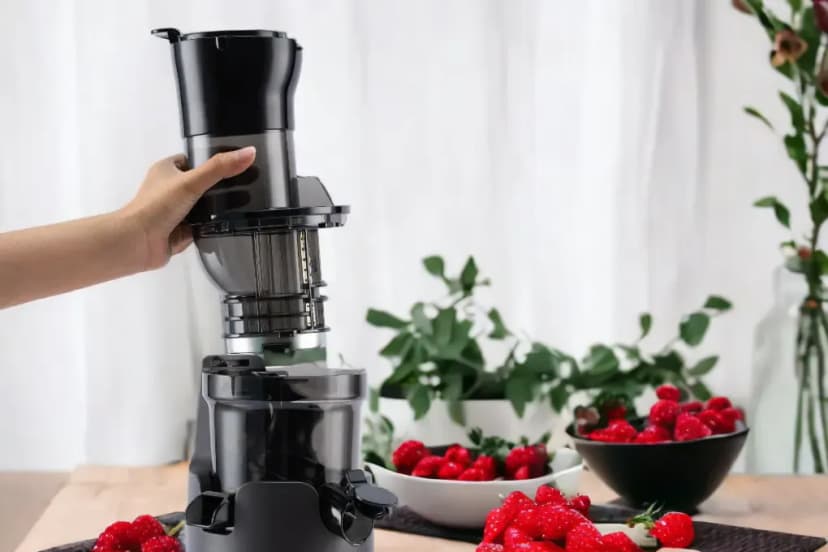 So sánh giá Máy ép chậm Hawonkoo SJH-004 - Tìm sản phẩm giá rẻ nhất - Ảnh 13