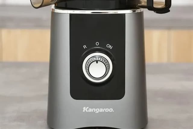 So sánh giá Máy ép chậm Kangaroo KG250SJ1 rẻ nhất? - Ảnh 13