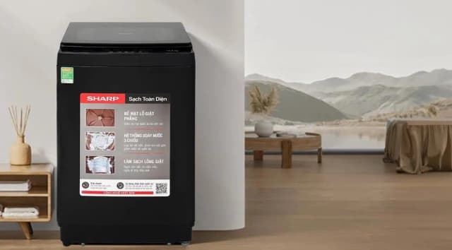 So sánh giá Máy giặt Sharp 12.5 kg ES-TM125CN-BK rẻ nhất? - Ảnh 17