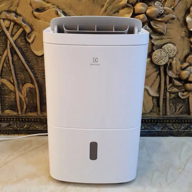 So sánh giá Máy hút ẩm Electrolux EDH10TRBW1 rẻ nhất? - Ảnh 2
