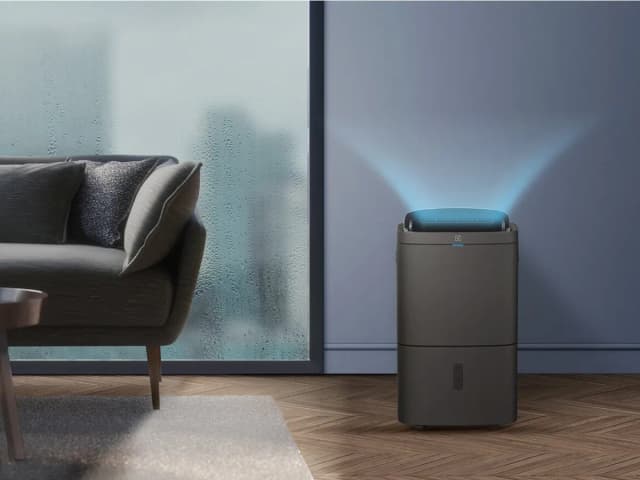So sánh giá Máy hút ẩm kết hợp lọc không khí Electrolux EDH16TRBD3 rẻ nhất? - Ảnh 7