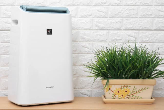 So sánh giá Máy hút ẩm Sharp DW-E16FA-W rẻ nhất? - Ảnh 11