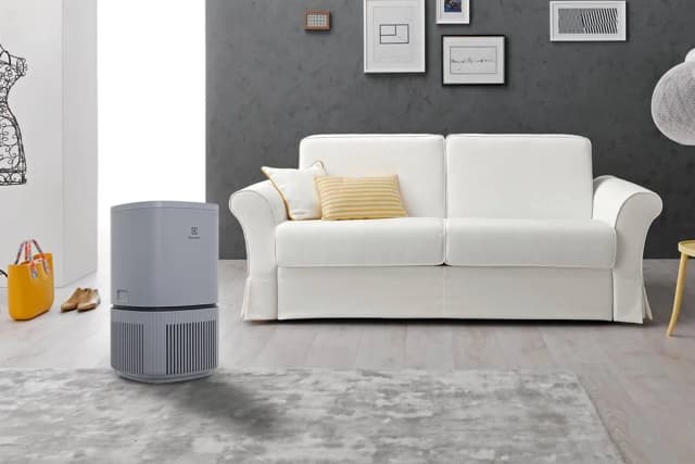 So sánh giá Máy lọc không khí Electrolux EP32-25UGA 25W rẻ nhất? - Ảnh 4