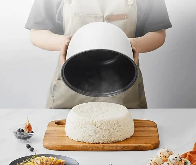 So sánh giá Nồi cơm nắp gài Gaabor 1.0 lít RC20M-YE01A rẻ nhất? - Ảnh 14