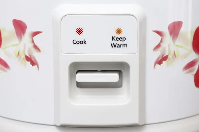 So sánh giá Nồi cơm nắp gài Panasonic 1 lít SR-MVN107HRA rẻ nhất? - Ảnh 8