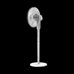 Quạt đứng Kangaroo 5 cánh KG728 65W - Giá rẻ nhất hôm nay - Ảnh 11