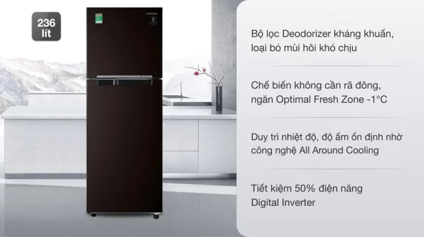 Tủ lạnh Samsung Inverter 236 lít RT22M4032BY/SV - Giá rẻ nhất hôm nay - Ảnh 1