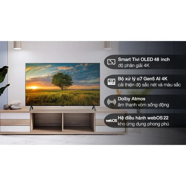 Smart Tivi OLED LG 4K 48 inch 48A2PSA - Ảnh 18