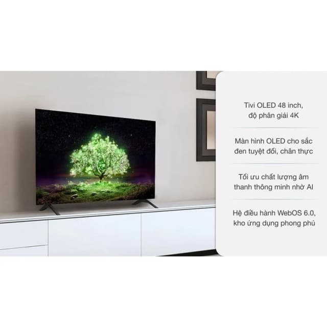 Top 1 so sánh giá Smart Tivi OLED LG 4K 48 inch 48A2PSA - Tìm sản phẩm giá rẻ nhất - Ảnh 20