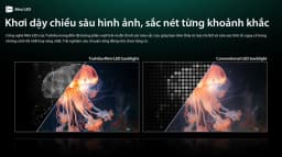 Smart Tivi Mini LED Toshiba AI 4K 75 inch 75Z770RP - Giá rẻ nhất hôm nay - Ảnh 3