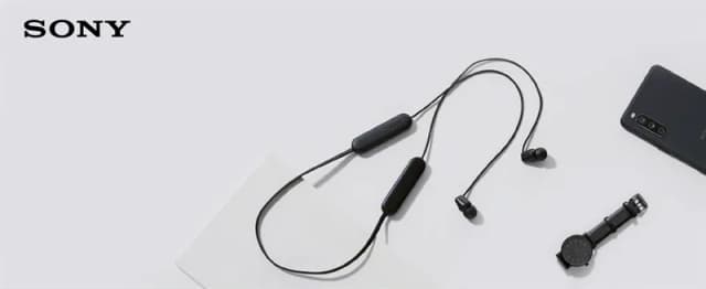 So sánh giá Tai nghe Bluetooth Sony WI-C100 rẻ nhất? - Ảnh 6