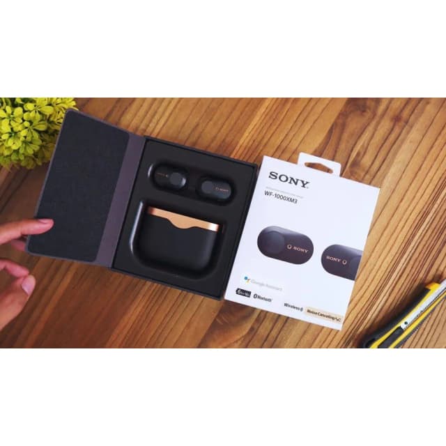 Top 1 so sánh giá Tai nghe Bluetooth True Wireless Sony WF1000XM6 - Tìm sản phẩm giá rẻ nhất - Ảnh 36