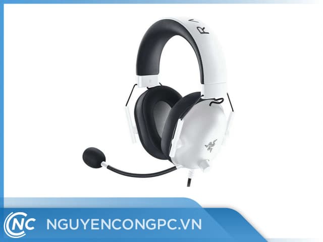 So sánh giá Tai nghe Chụp tai Gaming Razer BlackShark V2 X rẻ nhất? - Ảnh 19