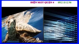 Smart Tivi QLED Samsung AI 4K 75 inch QA75Q80D - Giá rẻ nhất hôm nay - Ảnh 14
