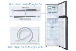 Tủ lạnh Toshiba Inverter 253 lít GR-RT329WE-PMV(52) - Giá rẻ nhất hôm nay - Ảnh 10
