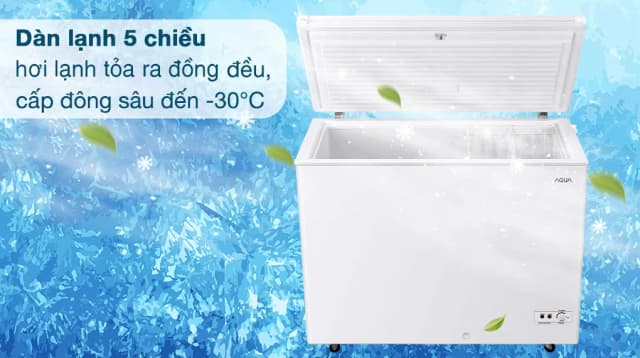 So sánh giá Tủ đông Aqua Inverter 301 lít AQF-C4001E rẻ nhất? - Ảnh 8