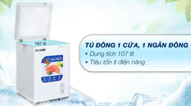 So sánh giá Tủ đông Hòa Phát 107 lít HPF AN6107 rẻ nhất? - Ảnh 9