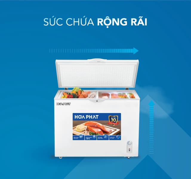 So sánh giá Tủ đông Hòa Phát 252 lít HPF AN6252 rẻ nhất? - Ảnh 18