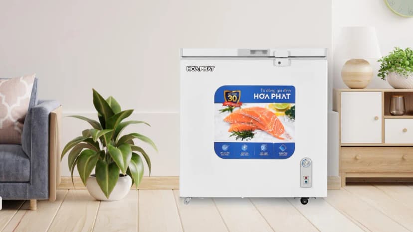 Tủ đông Hoà Phát 66 lít HPF AN666 - Giá rẻ nhất hôm nay - Ảnh 16