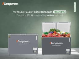 So sánh giá Tủ đông Kangaroo 252 lít KGFZ318NG2 - Tìm sản phẩm giá rẻ nhất - Ảnh 11