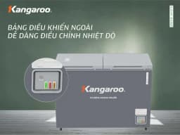 So sánh giá Tủ đông Kangaroo 252 lít KGFZ318NG2 - Tìm sản phẩm giá rẻ nhất - Ảnh 15