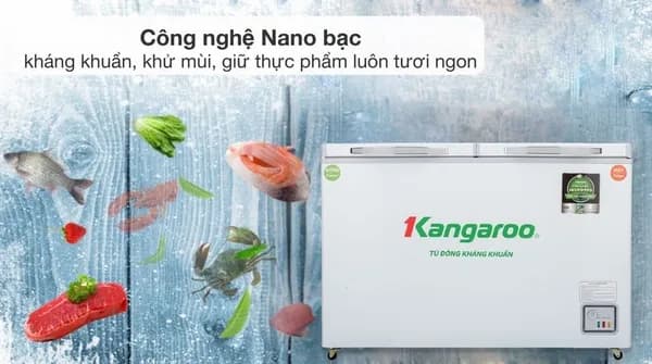 So sánh giá Tủ đông Kangaroo Inverter 252 lít KGFZ400IC2 rẻ nhất? - Ảnh 20