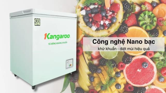 So sánh giá Tủ đông Kangaroo 90 lít KG090C1N rẻ nhất? - Ảnh 14