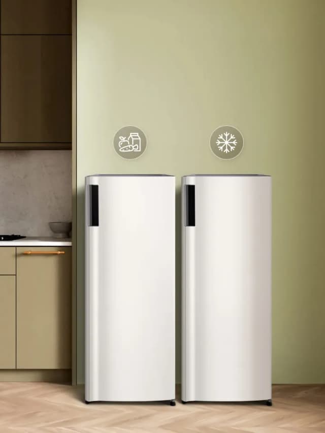 So sánh giá Tủ đông LG Inverter 165 lít LOF16BGM rẻ nhất? - Ảnh 12