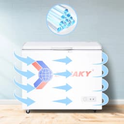 So sánh giá Tủ đông Sanaky 175 lít VH-225HY2 - Tìm sản phẩm giá rẻ nhất - Ảnh 9