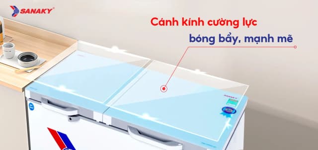 So sánh giá Tủ đông Sanaky 260 lít VH-3699W2KD rẻ nhất? - Ảnh 20